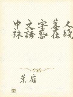 中文字幕人妻丝袜诱惑在线封面