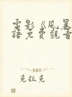 电影《风暴》国语免费观看