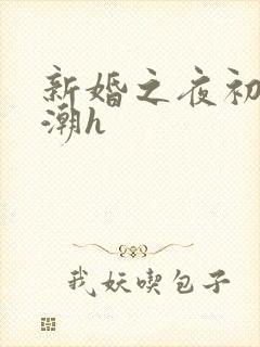 新婚之夜初尝高潮h