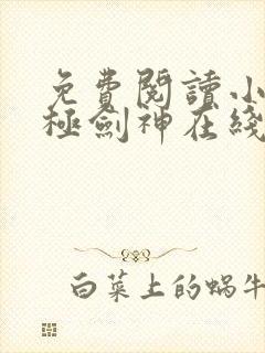 免费阅读小说无极剑神在线阅读全文