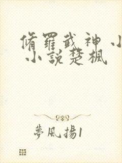 修罗武神 小说 小说楚枫