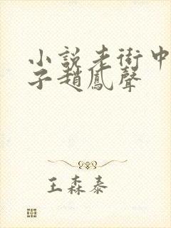 小说老街中的痞子赵凤声