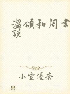 温颂和周聿川小说封面