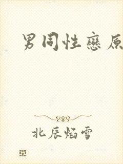 男同性恋原因