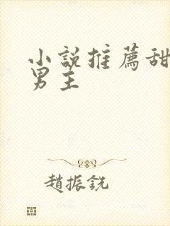 小说推荐甜宠双男主