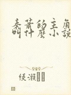 秦萧的主角名字叫什么小说