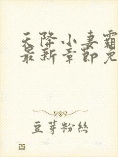 天降小妻霸道宠最新章节免费阅读