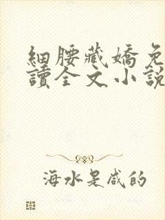 细腰藏娇免费阅读全文小说苏珞浅