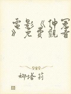 电影《伸冤人3》免费观看