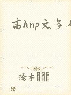 高hnp文多人封面