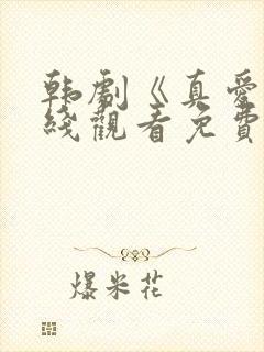 韩剧《真爱》在线观看免费封面