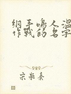 纲手鸣人温泉大作战的名字是什么