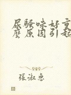 尿骚味好重是什么原因引起的