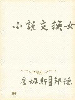 小说交换女友封面