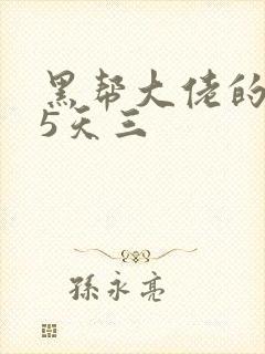 黑帮大佬的365天三封面