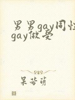 男男gay同性gay做受