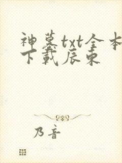 神墓txt全本下载辰东