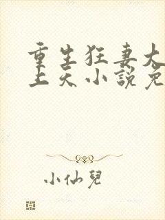 重生狂妻大佬宠上天小说免费听书封面