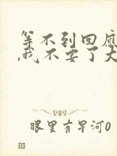 等不到回应的爱,我不要了大结局