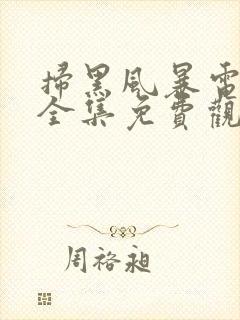 扫黑风暴电视剧全集免费观看完整版封面