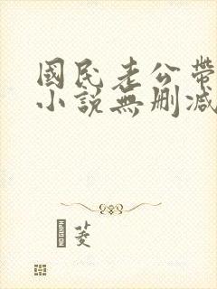 国民老公带回家小说无删减