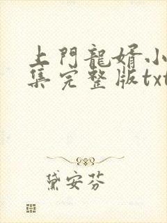 上门龙婿小说全集完整版txt