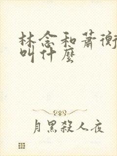 林念和萧衡短剧叫什么