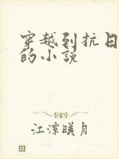 穿越到抗日战争的小说