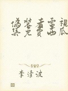 伪装者电视剧全集免费西瓜网