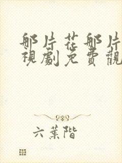 那片花那片海电视剧免费观看