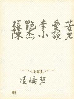 张艳李爱芳女婿陈杰小说免费版