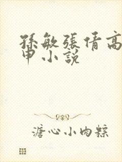 孙敏张倩高义王申小说