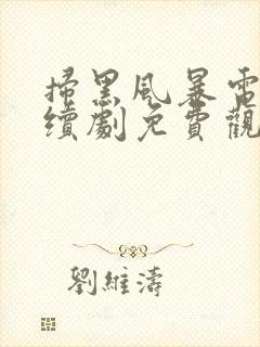 扫黑风暴电视连续剧免费观看全集