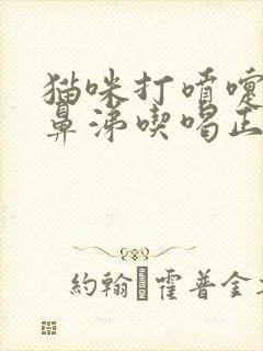 猫咪打喷嚏不流鼻涕吃喝正常