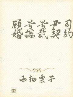 顾兮兮尹司宸闪婚总裁契约妻