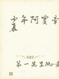 少年阿宾章节列表封面