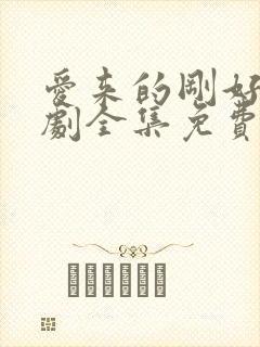 爱来的刚好电视剧全集免费观看