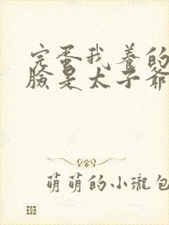 完蛋我养的小白脸是太子爷封面