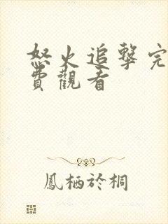 怒火追击完整免费观看封面