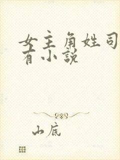 女主角姓司的所有小说