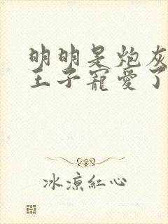 明明是炮灰却被王子宠爱了在哪看