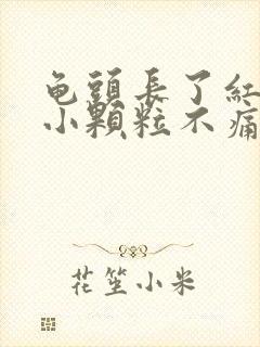 龟头长了红色的小颗粒不痛不痒