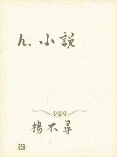 h. 小说