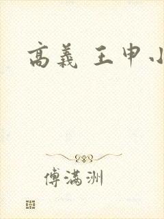 高义 王申小说