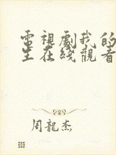 电视剧我的后半生在线观看封面