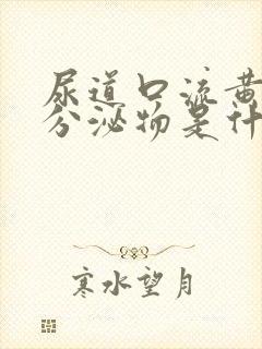 尿道口流黄绿色分泌物是什么原因