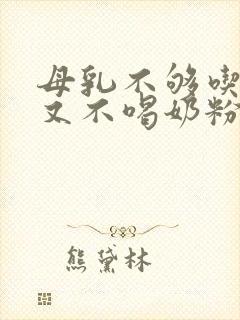 母乳不够吃宝宝又不喝奶粉怎么办