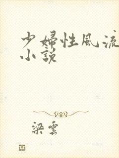 少妇性风流穴事小说