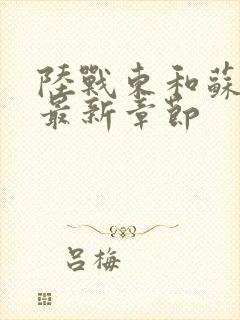 陆战东和苏灿的最新章节