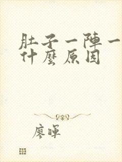 肚子一阵一阵痛什么原因